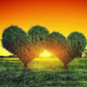 Meet your Posher, Ale